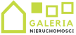 logo Galerii Nieruchomości prowadzonej przez agencję Rise Up